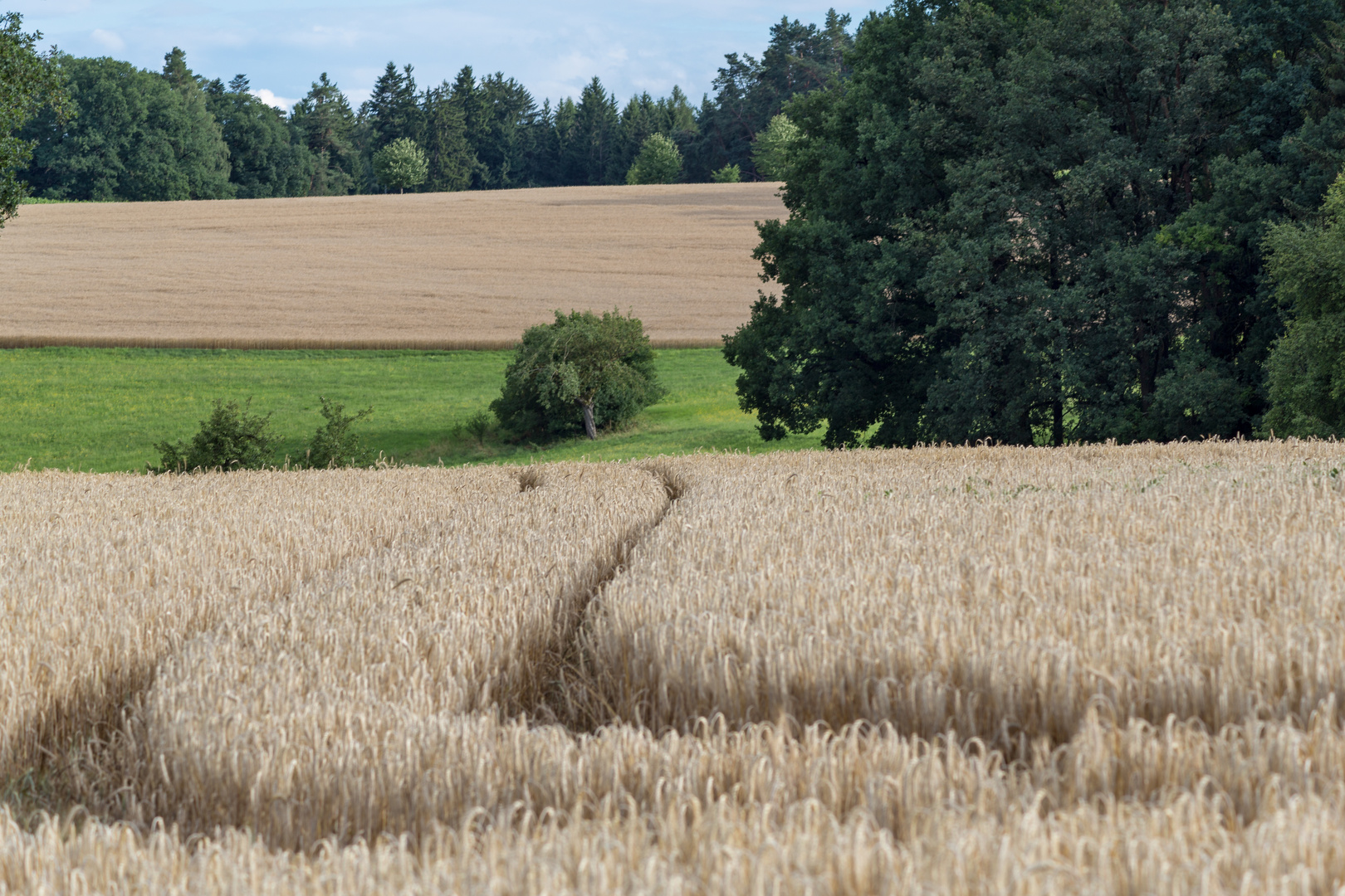 Feld"weg"