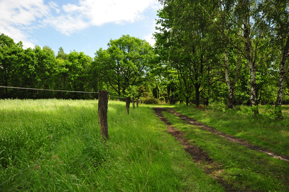 Feldweg