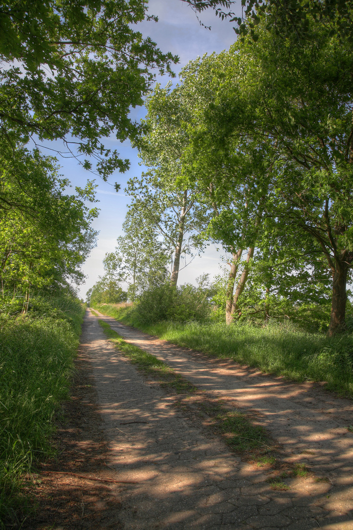 Feldweg