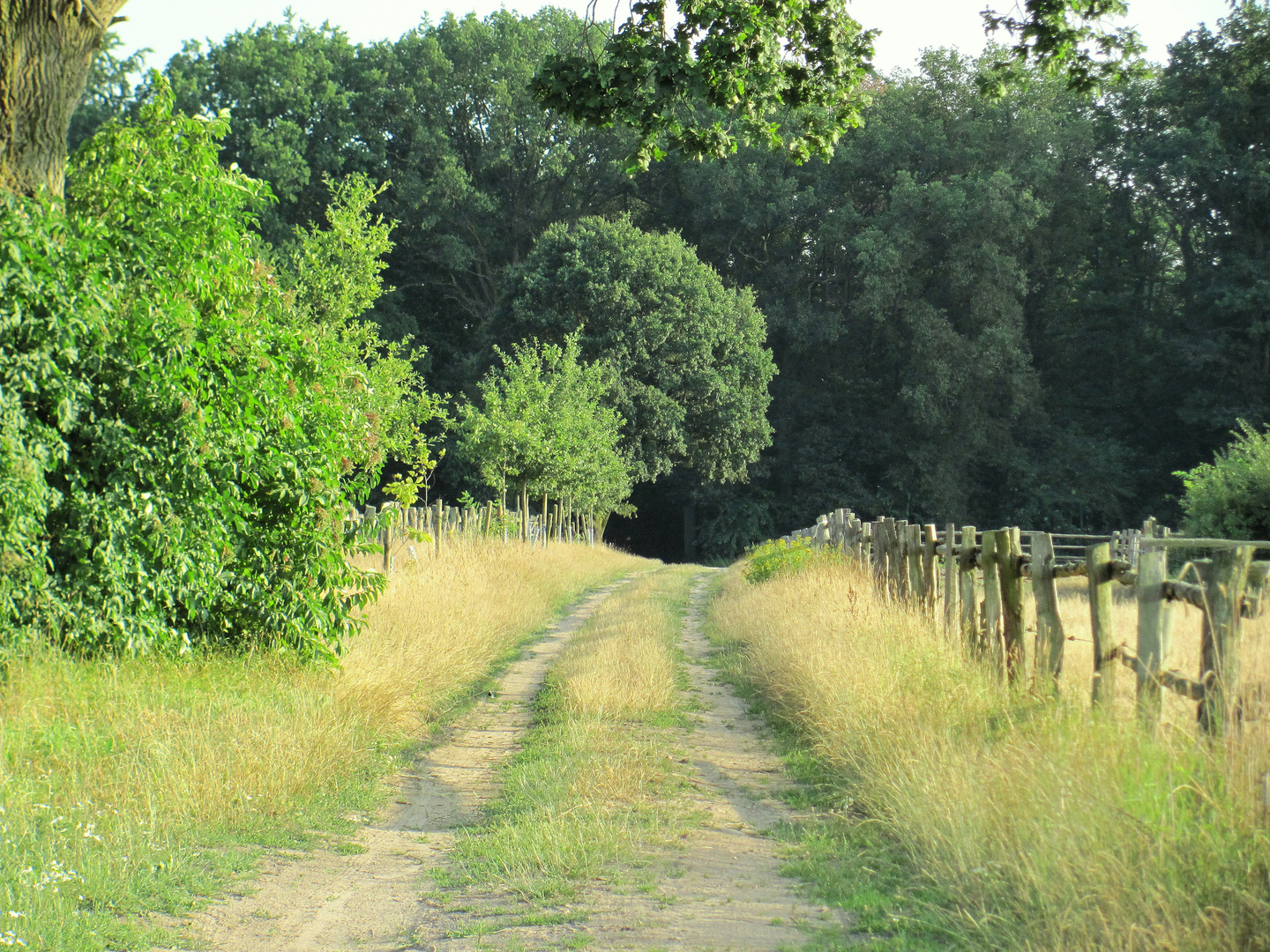 Feldweg