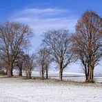 Feldweg-Allee (I)