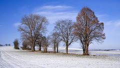 Feldweg-Allee (I)