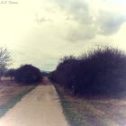 Feldweg am Holzscher Weiher