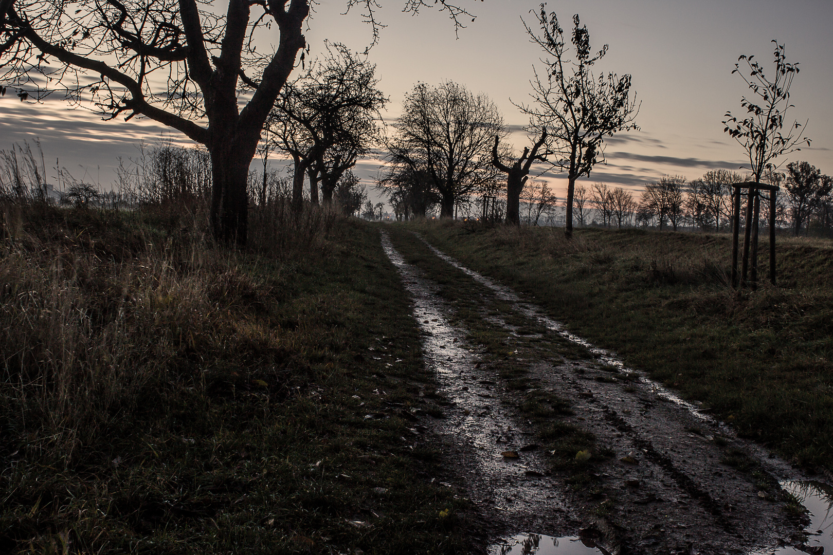 feldweg am morgen