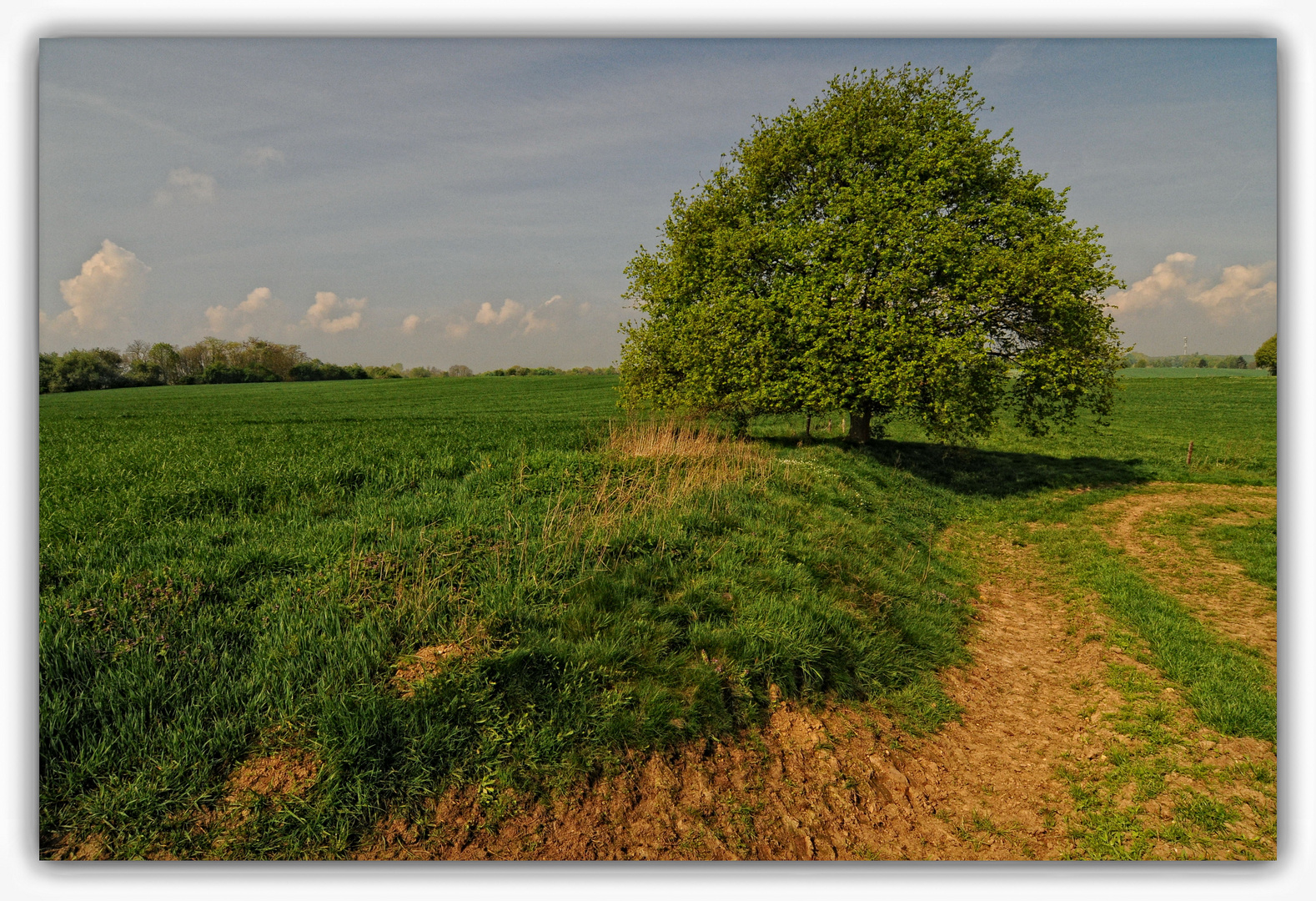 Feldweg am Niederrhein