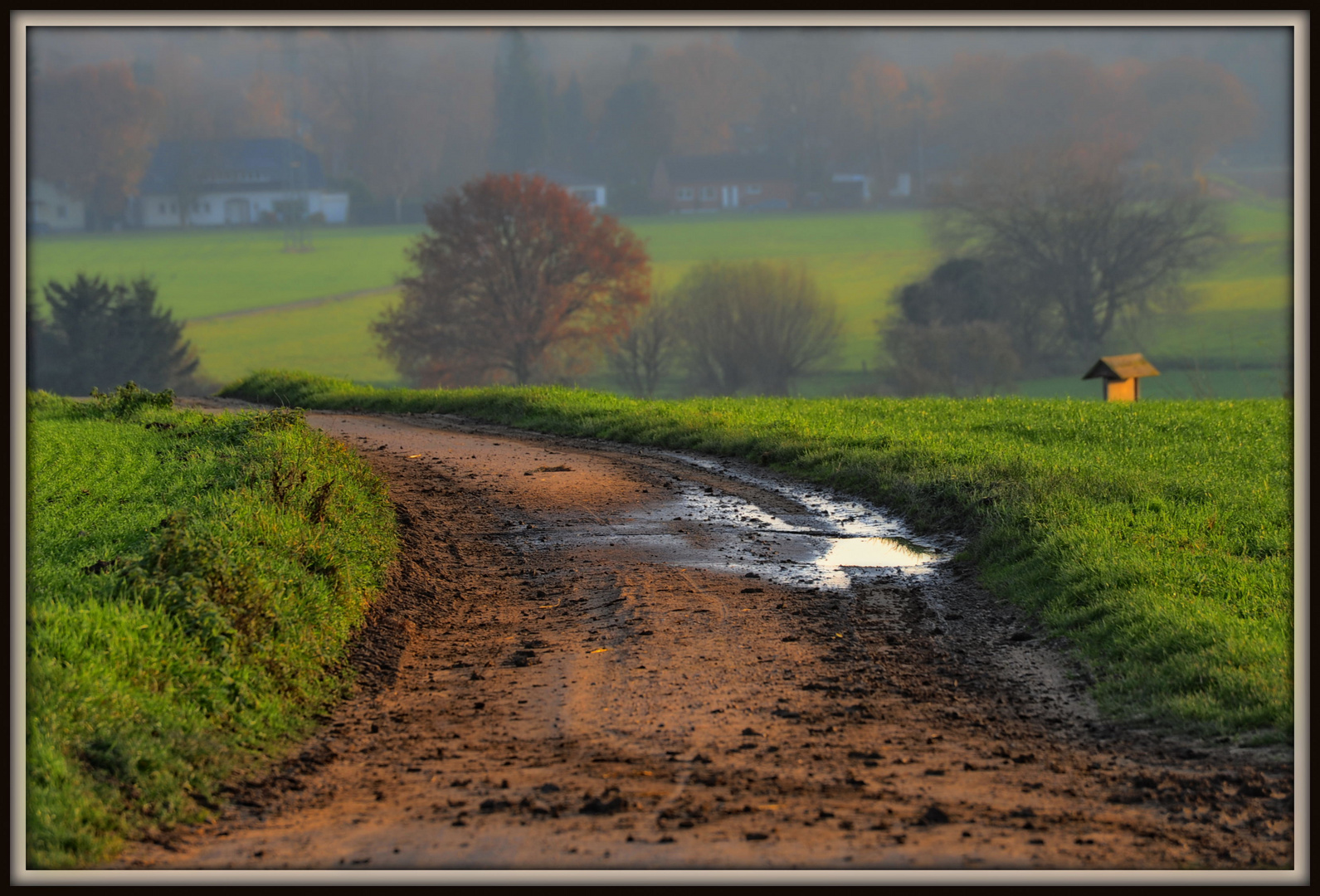 Feldweg am Niederrhein