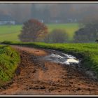 Feldweg am Niederrhein