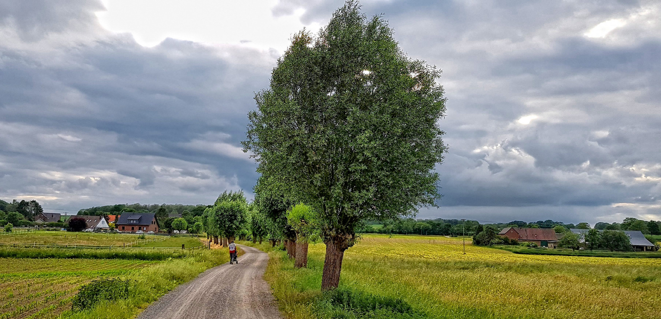 Feldweg am Niederrhein