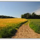 Feldweg am Niederrhein