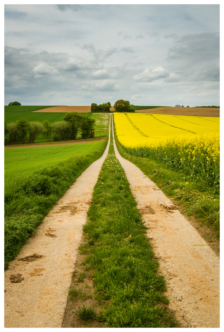 Feldweg am Rapsfeld