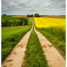 Feldweg am Rapsfeld