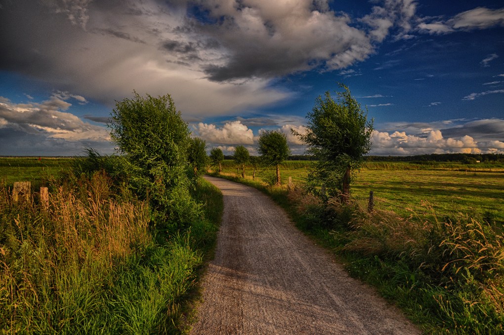 Feldweg am Saaler Bodden