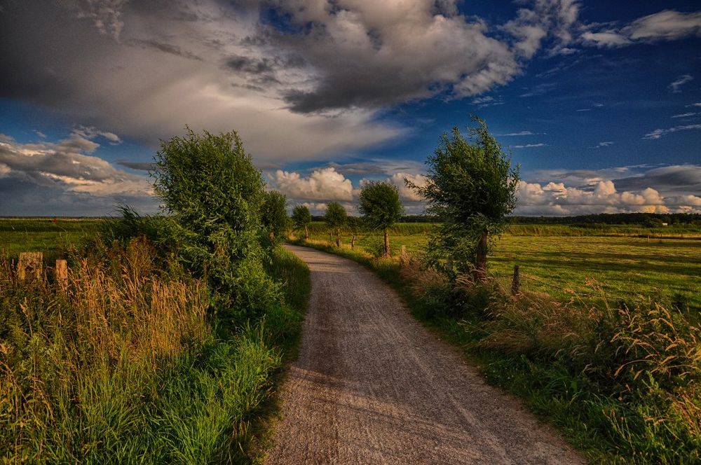 Feldweg am Saaler Bodden