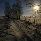 Feldweg am Wintermorgen