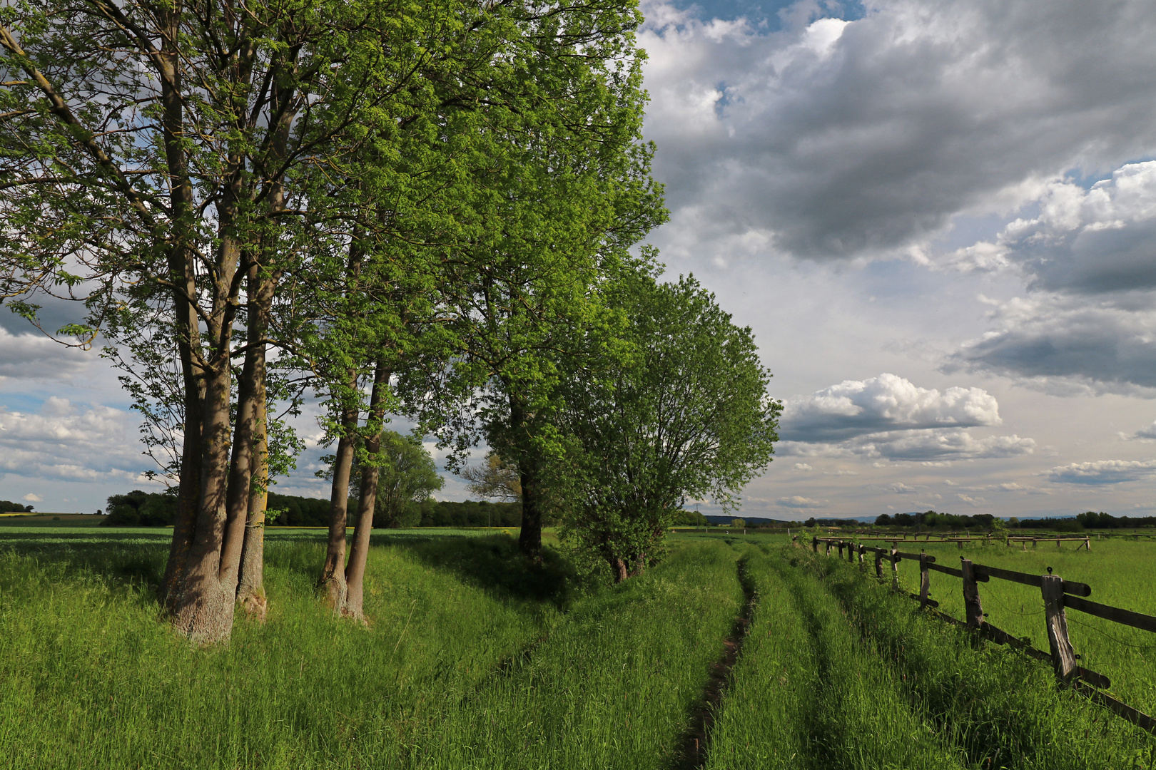 Feldweg am Zaun