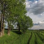 Feldweg am Zaun