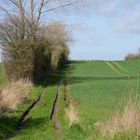 Feldweg auf Langeland