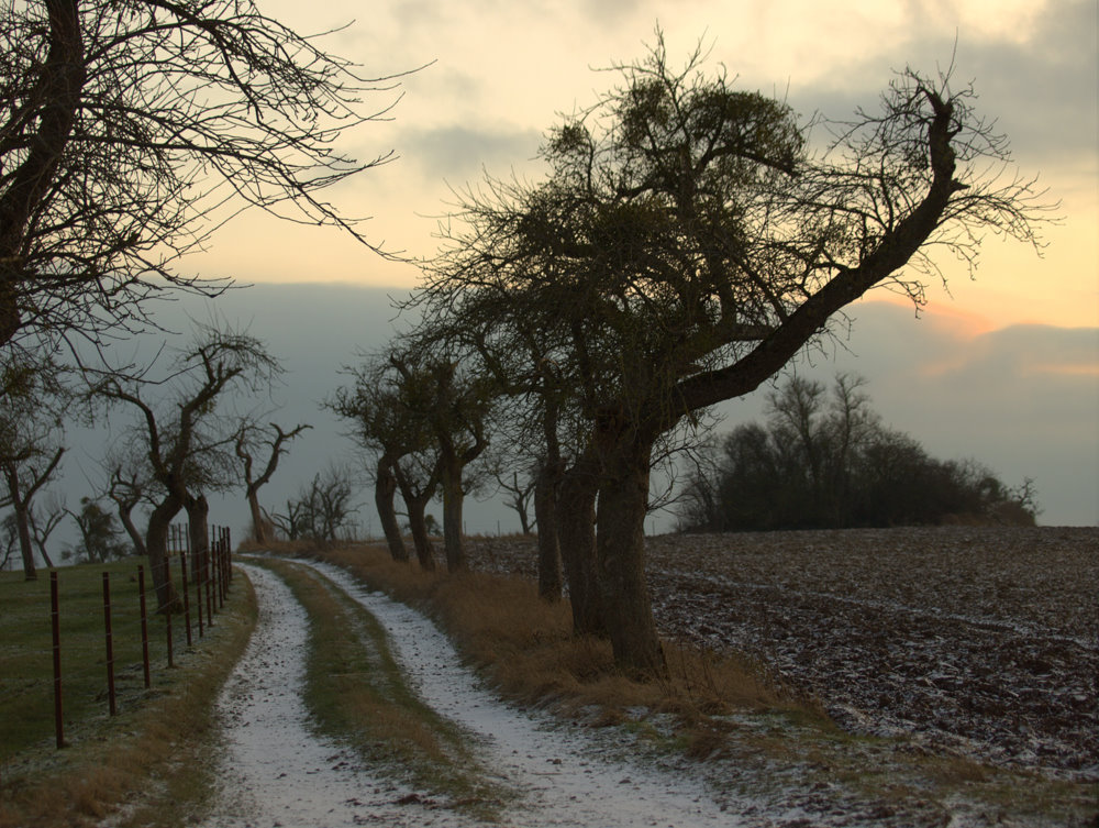 Feldweg