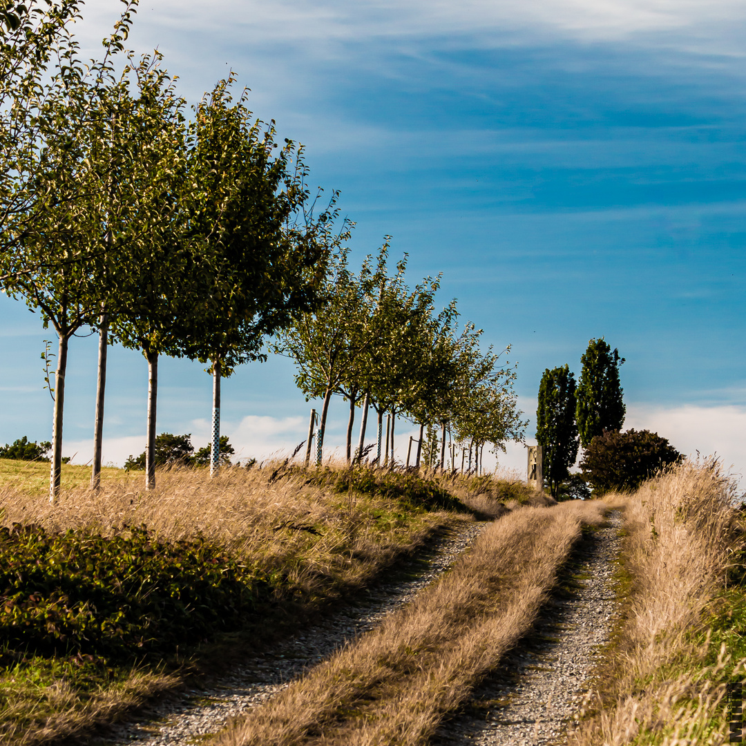 Feldweg