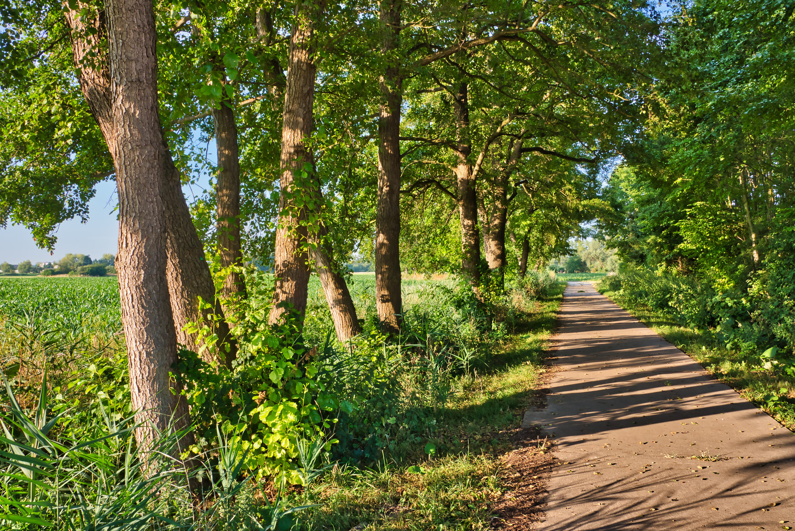 Feldweg 