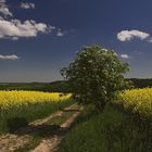 Feldweg bei ..