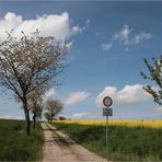 Feldweg bei Callenberg