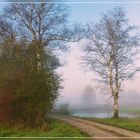 Feldweg bei Nebel.