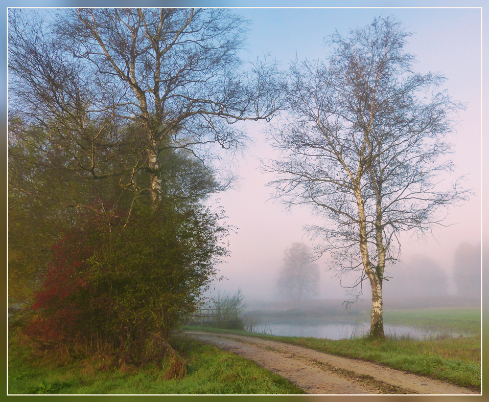 Feldweg bei Nebel.