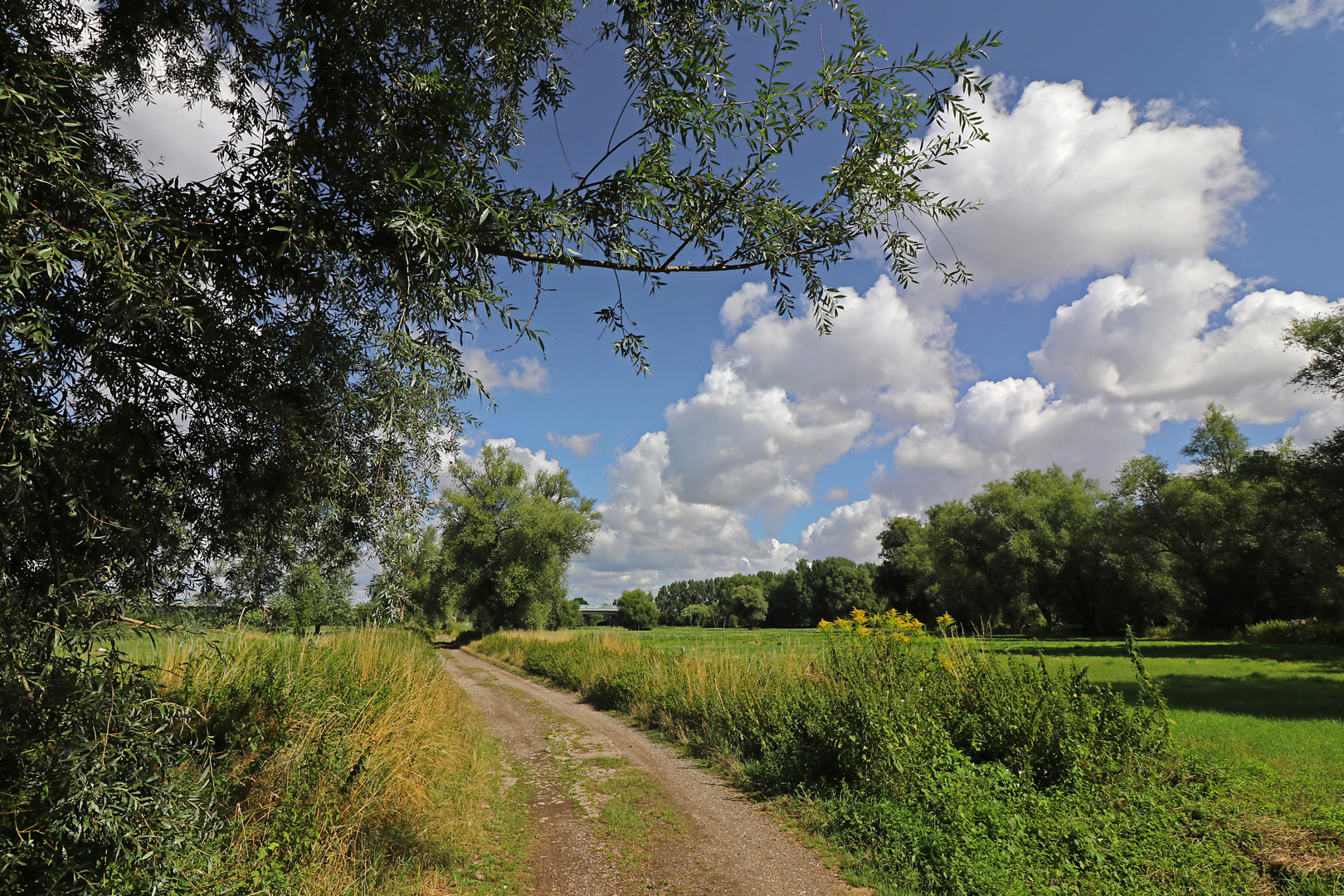 Feldweg bei Ölper