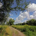 Feldweg bei Ölper