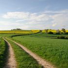 Feldweg bei Schwürbitz