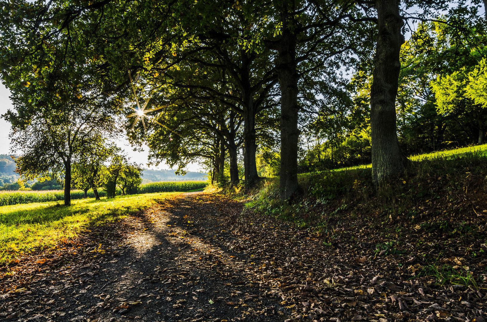 Feldweg