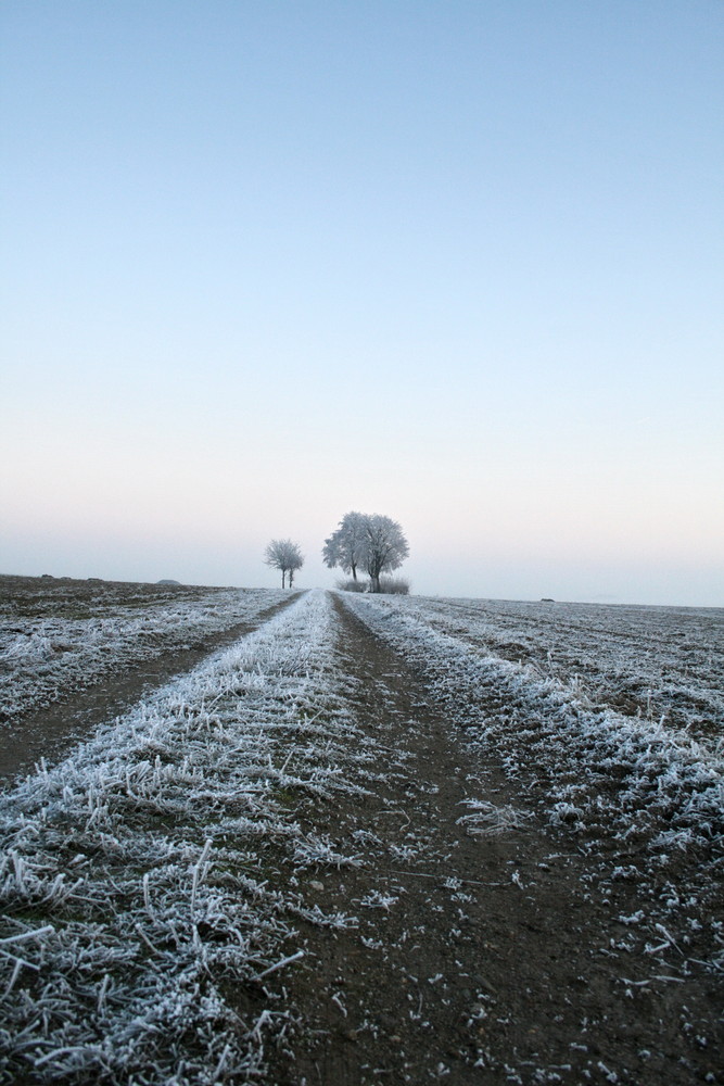 Feldweg