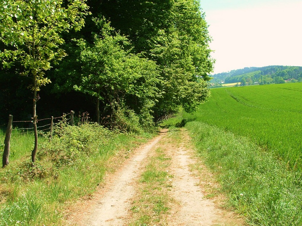 Feldweg