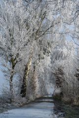 Feldweg