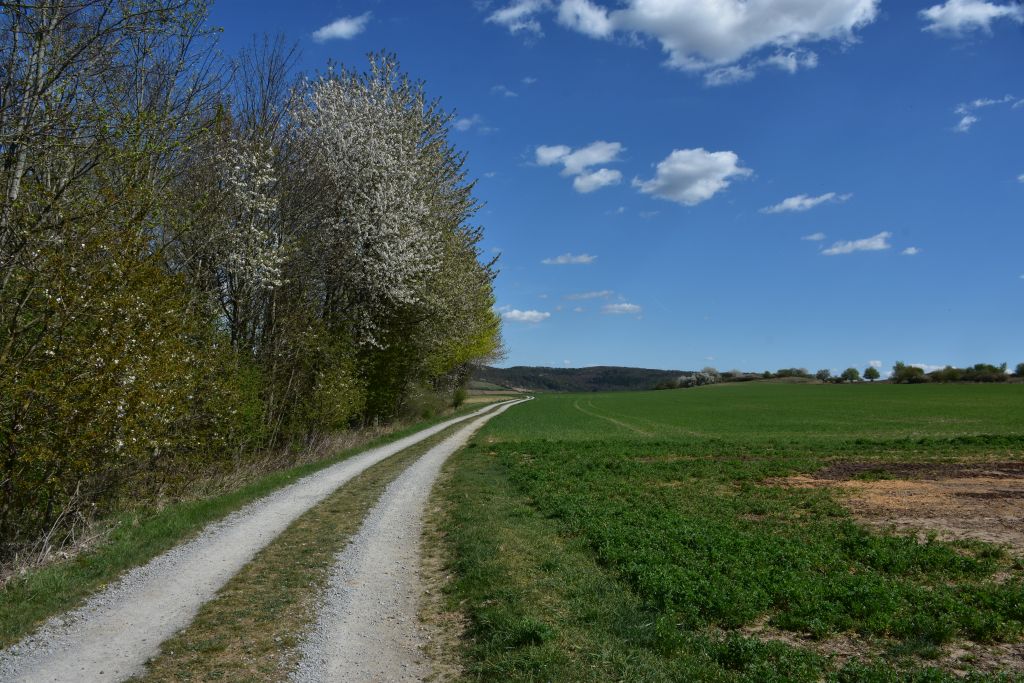 Feldweg