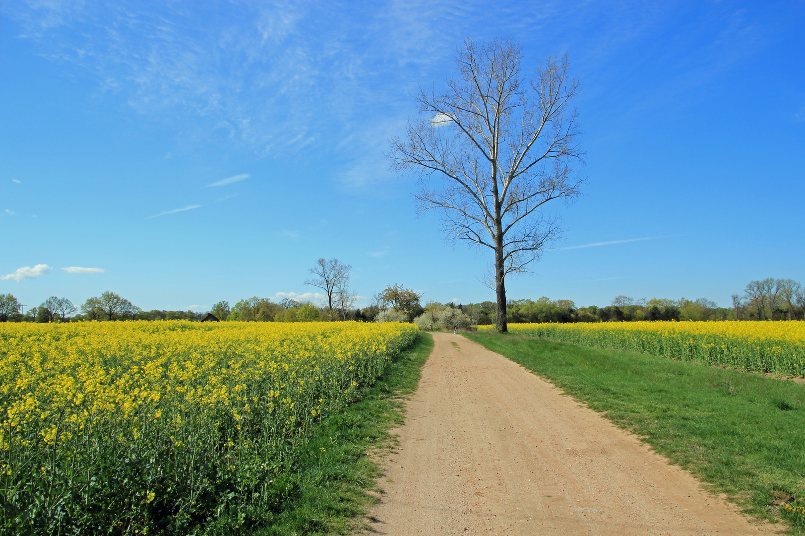 Feldweg