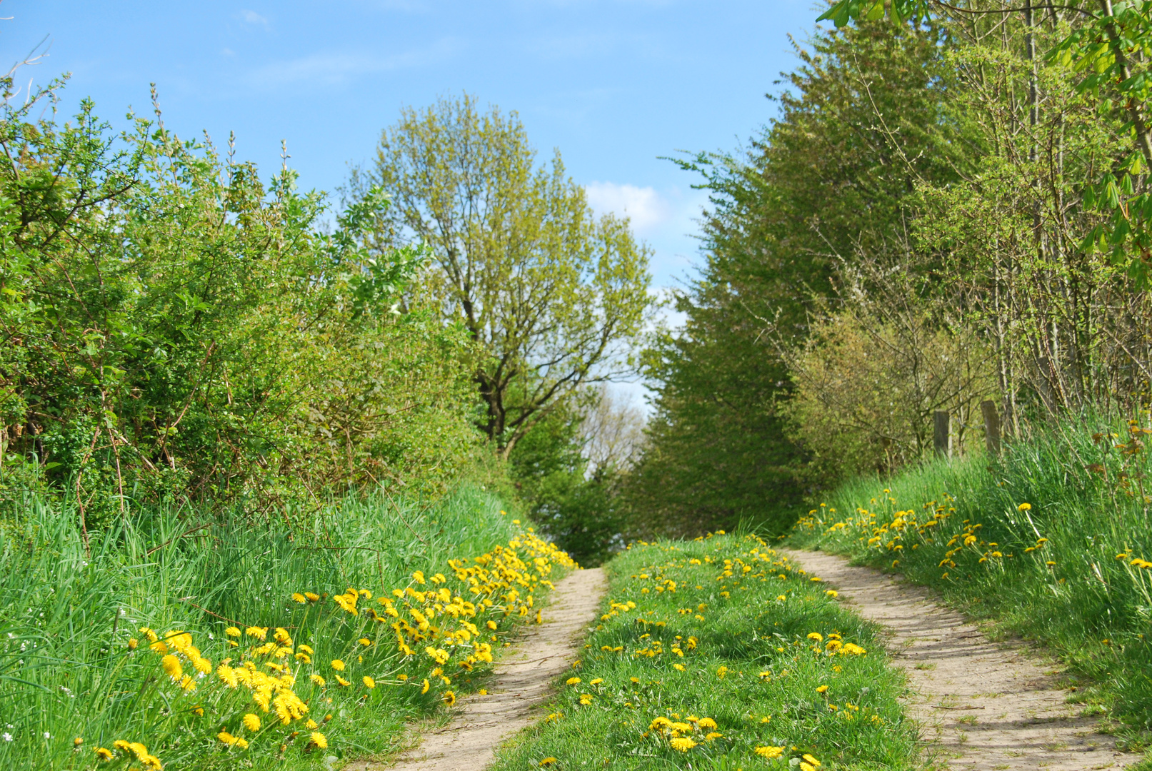 Feldweg