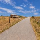 Feldweg durch den heißen Sommer