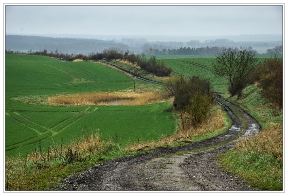 Feldweg