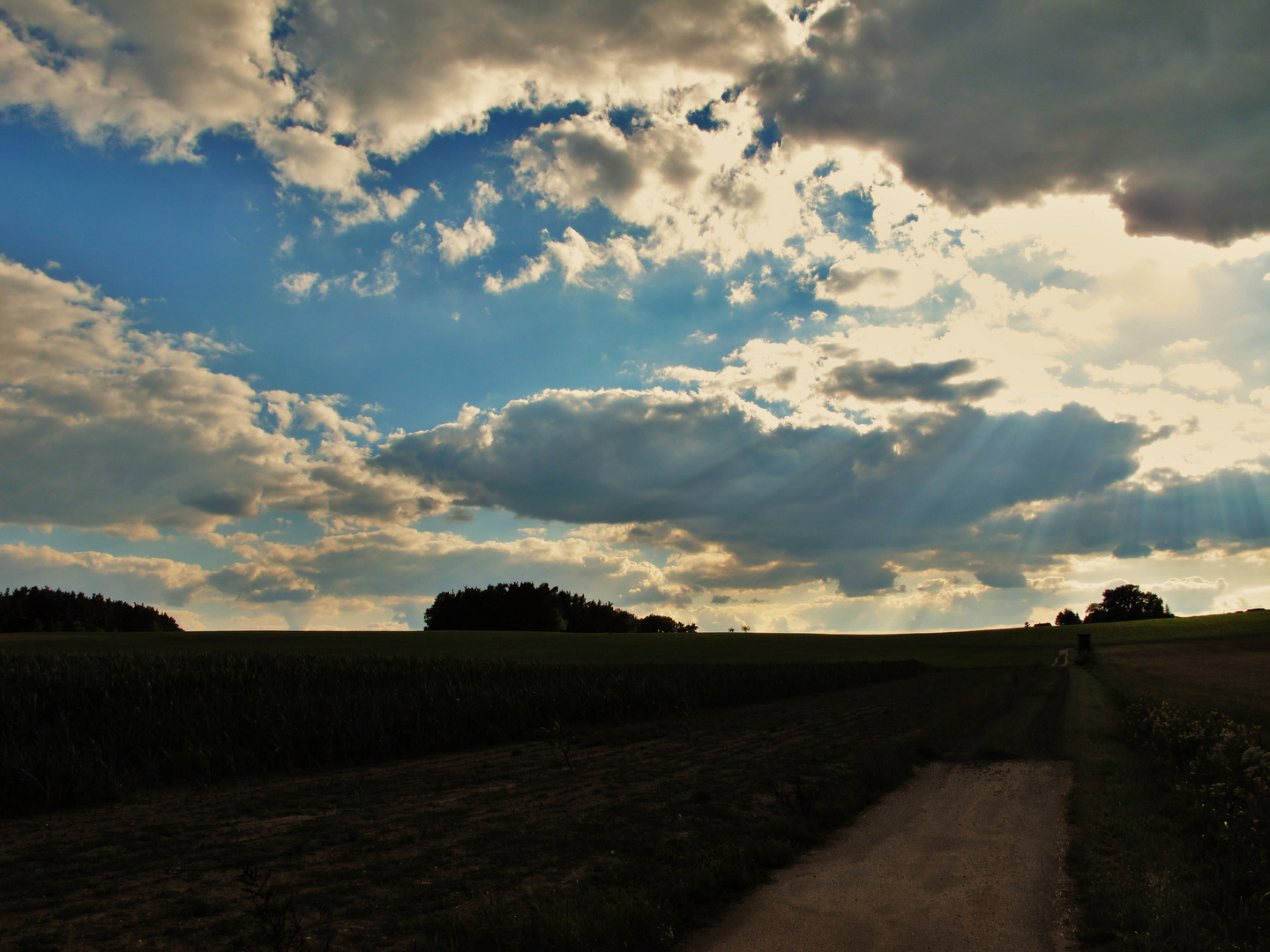 Feldweg