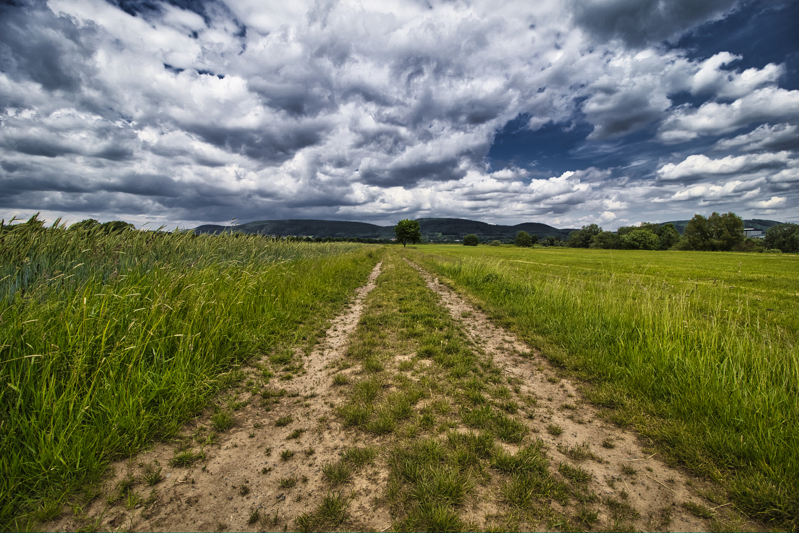 Feldweg Exterfeld 