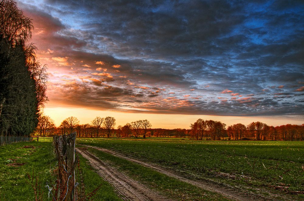 Feldweg im Abendlicht