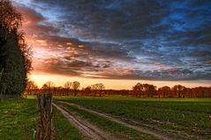 Feldweg im Abendlicht