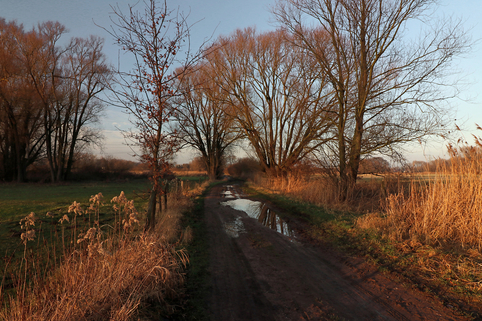 Feldweg im Abendlicht