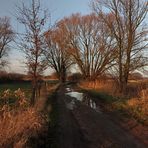 Feldweg im Abendlicht