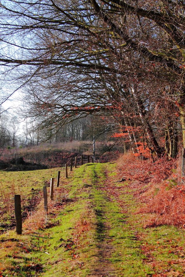 Feldweg im AÖZA