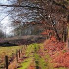 Feldweg im AÖZA