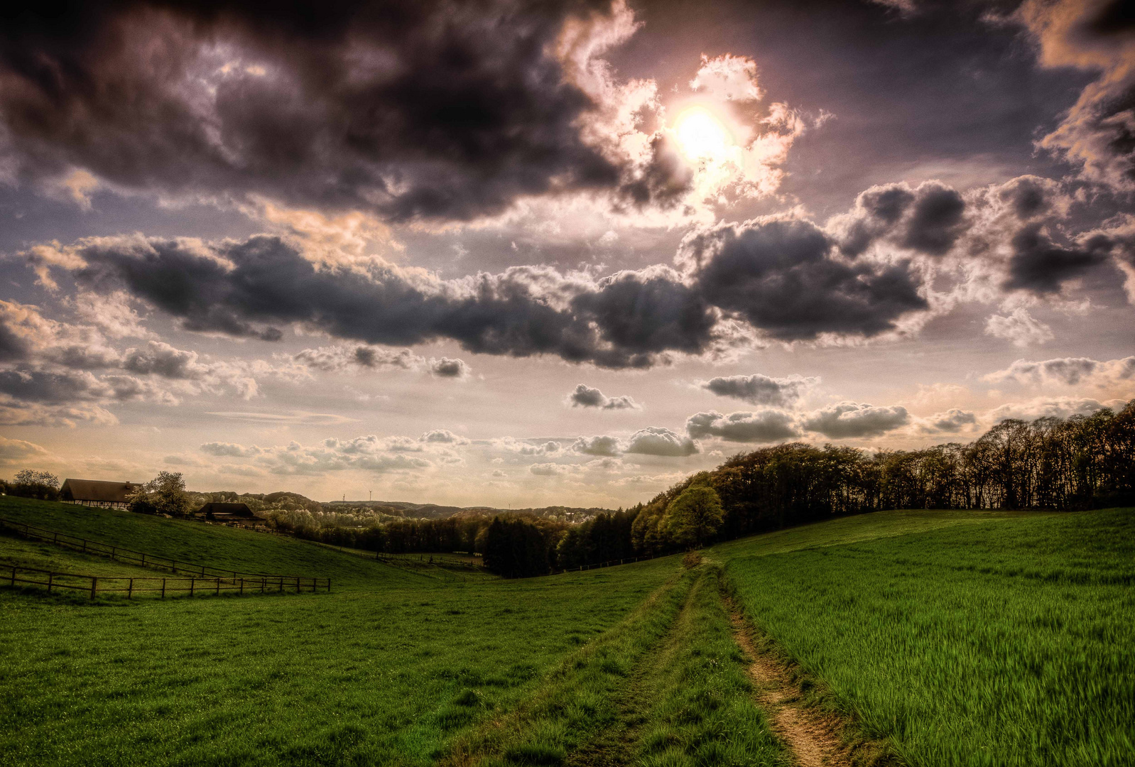 Feldweg im April