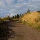 Feldweg im frühen Abendlicht....